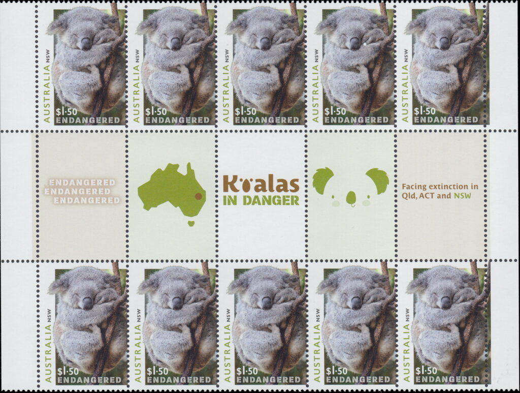Sleeping Koala