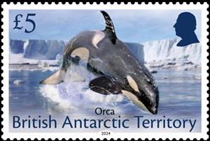 Stamp, Orca (Orcinus orca), British Antarctic Territory (BAT),  , Whales