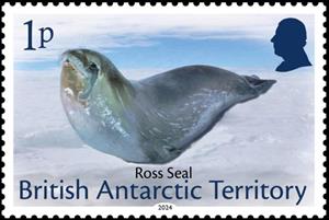 Stamp, Ross Seal (Ommatophoca rossii), British Antarctic Territory (BAT),  , Seals (Animals)