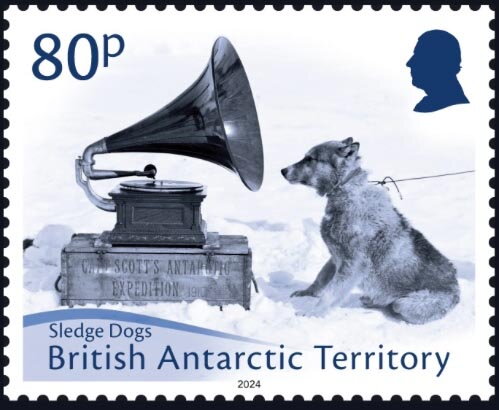 Sledge Dogs