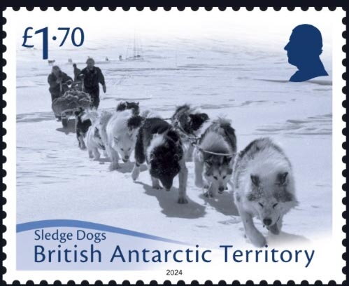 Sledge Dogs