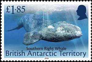Stamp, Southern Right Whale (Eubalaena australis), British Antarctic Territory (BAT),  , Whales