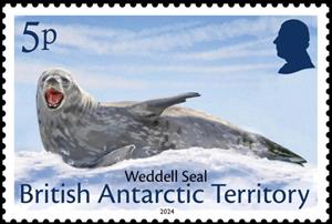 Stamp, Weddell Seal (Leptonychotes weddellii), British Antarctic Territory (BAT),  , Seals (Animals)