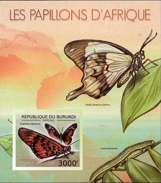 Butterflies of Africa