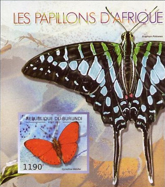 Butterflies of Africa