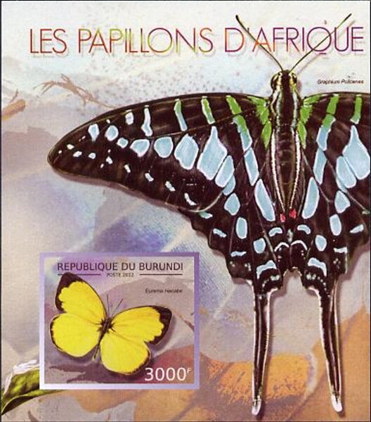 Butterflies of Africa