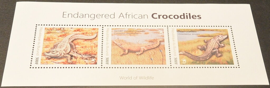 Crocodiles - Endangered African Crocodiles