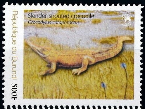 Crocodiles - Endangered African Crocodiles