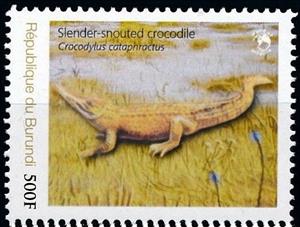 Stamp, Crocodiles - Endangered African Crocodiles, Burundi,  , Animals (Fauna), Crocodiles, Reptiles
