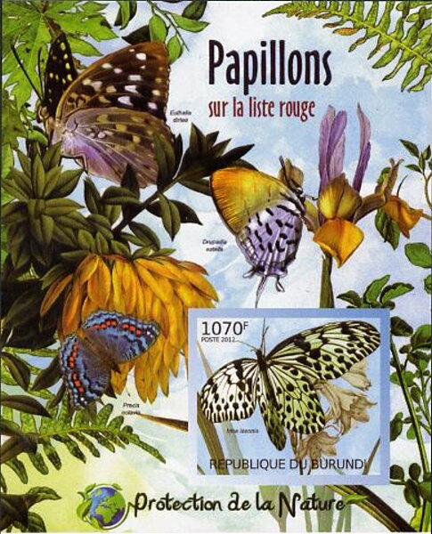 Endangered Butterflies