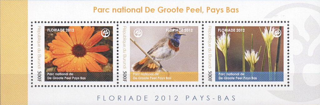 National Parks - De Groote Peel