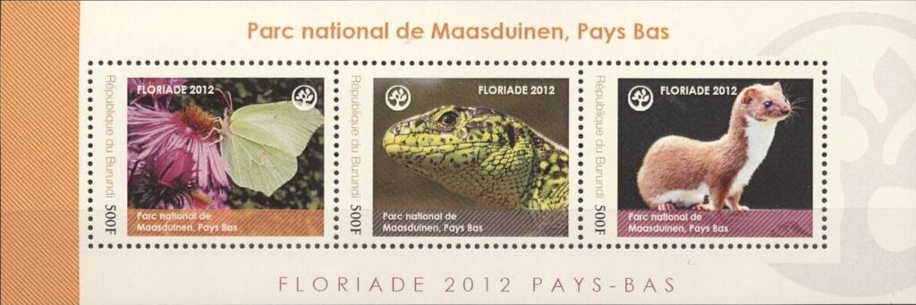 National Parks - De Maasduinen