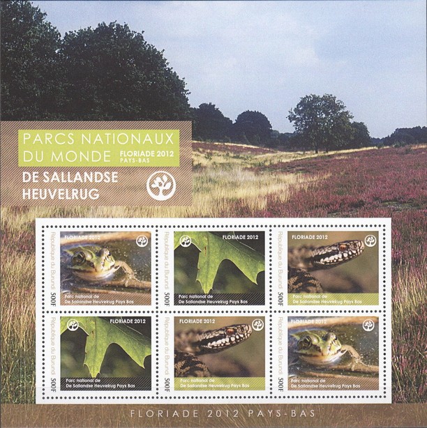 National Parks - De Sallandse Heuvelrug