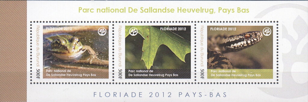 National Parks - De Sallandse Heuvelrug