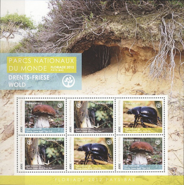 National Parks - Drents-Friese Wold