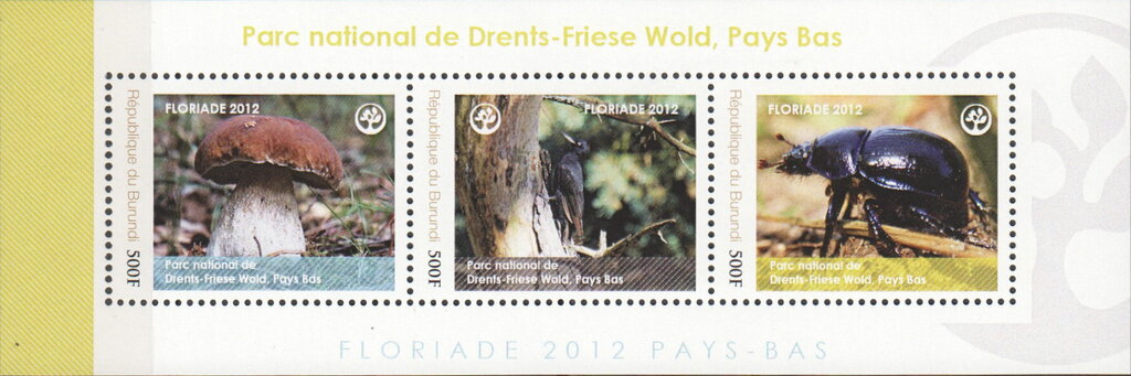 National Parks - Drents-Friese Wold