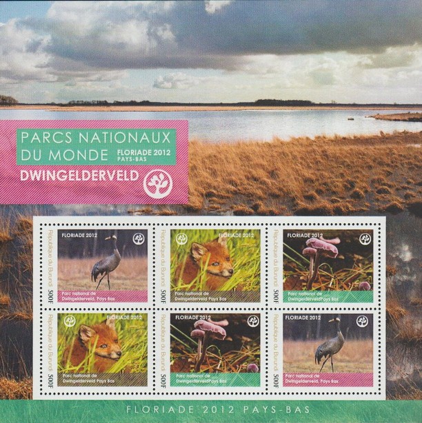 National Parks - Dwingelderveld