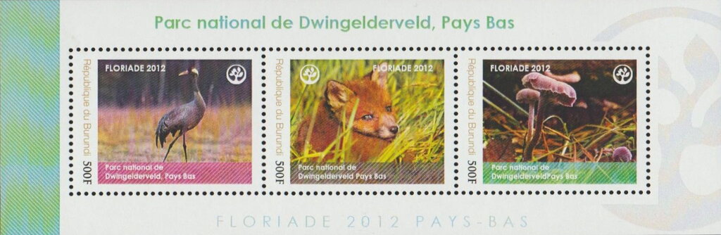 National Parks - Dwingelderveld
