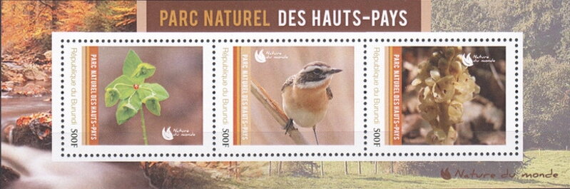 Natural Parks - High Country