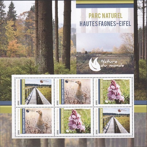 Natural Parks - High Fens-Eifel