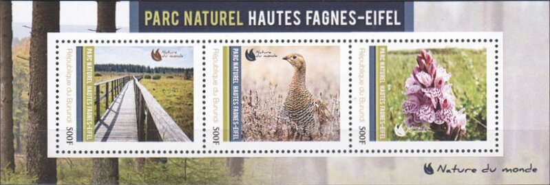 Natural Parks - High Fens-Eifel