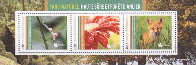 Natural Parks - Upper Sure Anlier Forest