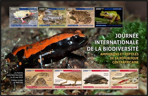 Amphibians and Reptiles of the Central African Republic