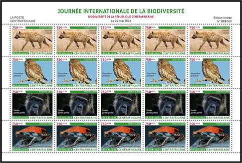 Biodiversity of the Central African Republic