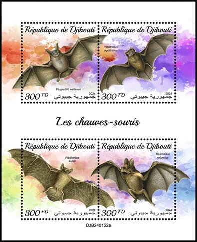 Bats