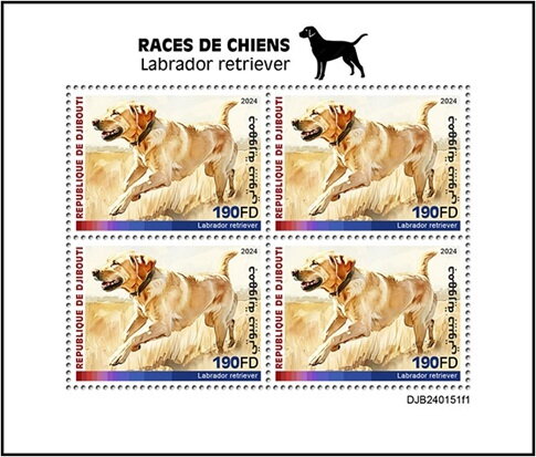 Labrador Retriever