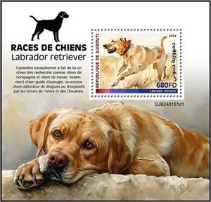 Souvenir Sheet, Labrador Retriever, Djibouti,  , Animals (Fauna), Dogs