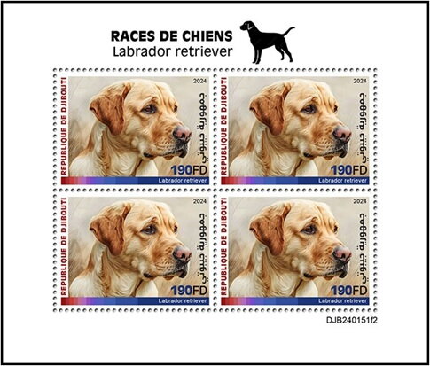 Labrador Retriever