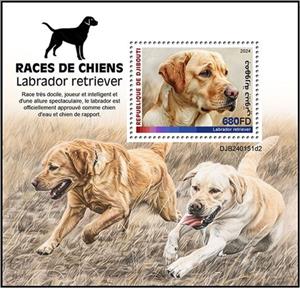 Souvenir Sheet, Labrador Retriever, Djibouti,  , Animals (Fauna), Dogs