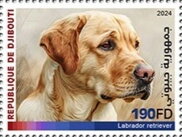 Labrador Retriever