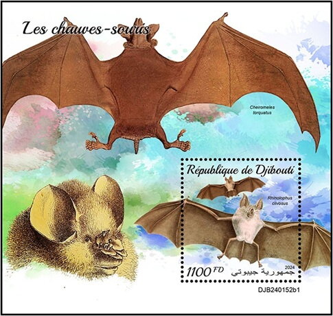 Rhinolophus clivosus