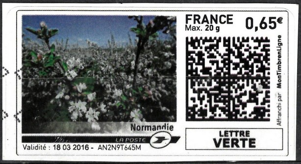 Apple Blossom in Normandy / Normandie