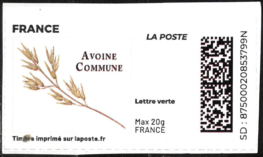 Oats Avoine Commun. Redesign