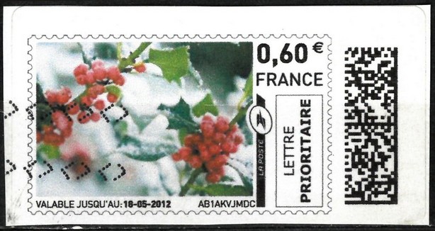 Red Berries