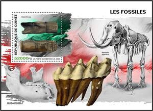 Souvenir Sheet, Calamites sp., Guinea,  , Fossils, Prehistory