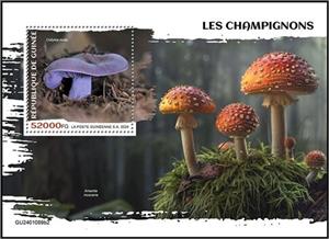 Souvenir Sheet, Collybia nuda, Guinea,  , Mushrooms, Plants (Flora)
