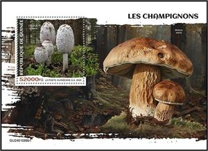 Souvenir Sheet, Coprinus comatus, Guinea,  , Mushrooms, Plants (Flora)