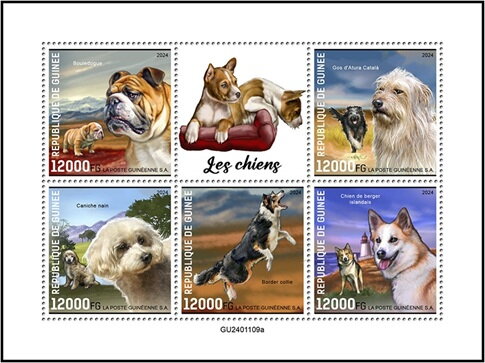 Domestic Dogs