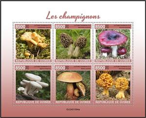 Mini Sheet, Mushrooms, Guinea,  , Mushrooms, Plants (Flora)