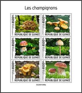Mini Sheet, Mushrooms, Guinea,  , Mushrooms, Plants (Flora)