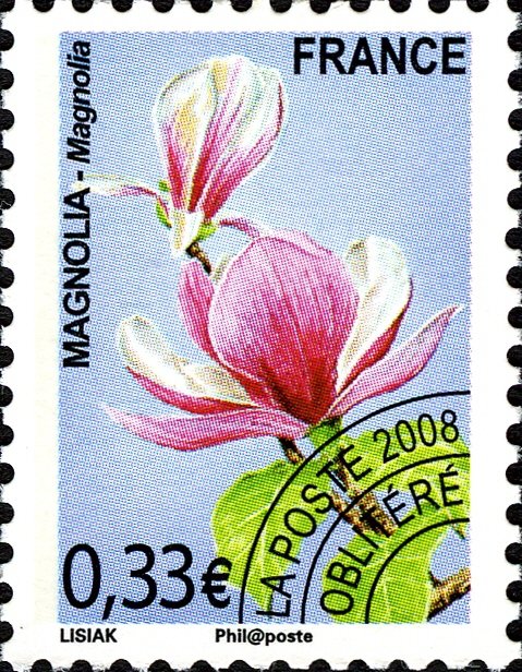 préoblitéré - Flore:Magnolia