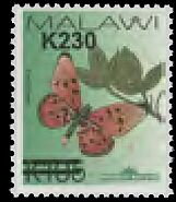 Stamp, Fiery Acraea (Acraea acrita), Malawi,  , Animals (Fauna), Butterflies and Moths, Insects