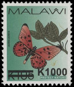 Stamp, Fiery Acraea (Acraea acrita), Malawi,  , Animals (Fauna), Butterflies and Moths, Insects