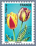 préoblitéré - Flore:Tulipe (Tulipa sp)
