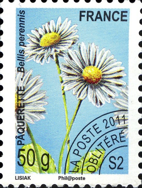 préoblitéré - Flore:Pâquerette (Bellis perennis)