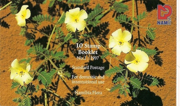 Greetings, Namibia Flora